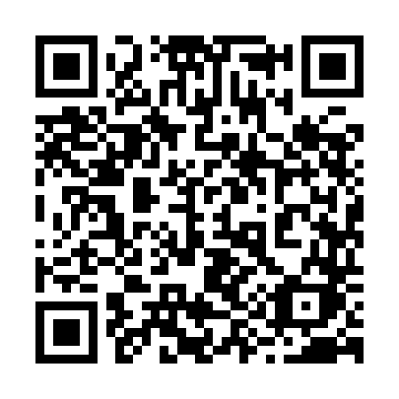 QR code for 2999DK