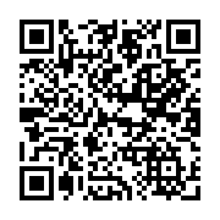 QR code for plate 299 LEW