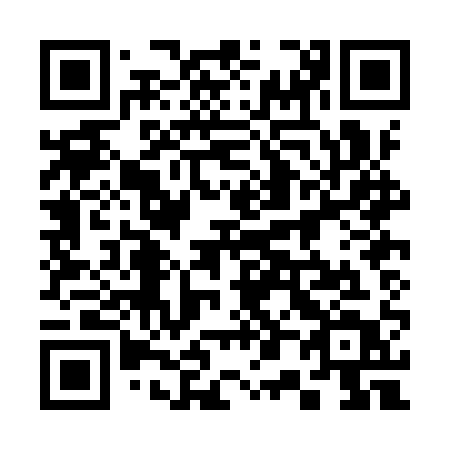 QR code for 300 IQT