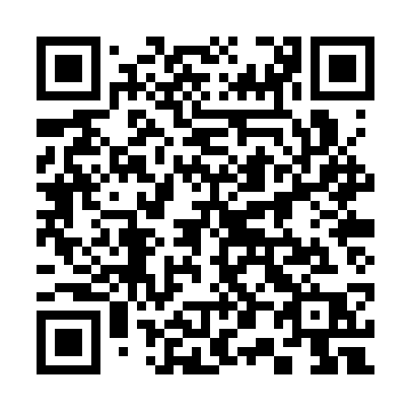 QR code for 300 SSP