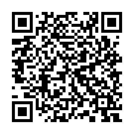 QR code for plate 300 1XX