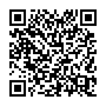 QR code for plate 300 3EA