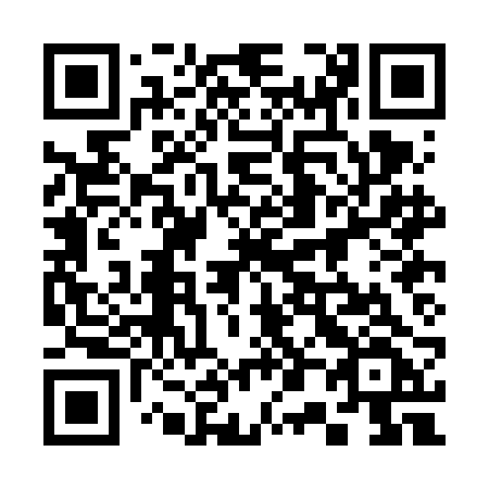 QR code for plate 300 FBF