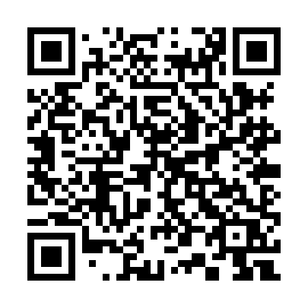 QR code for plate 300 XHR