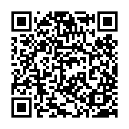 QR code for plate 302 TMS
