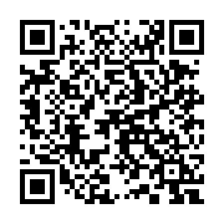 QR code for plate 303 DGI