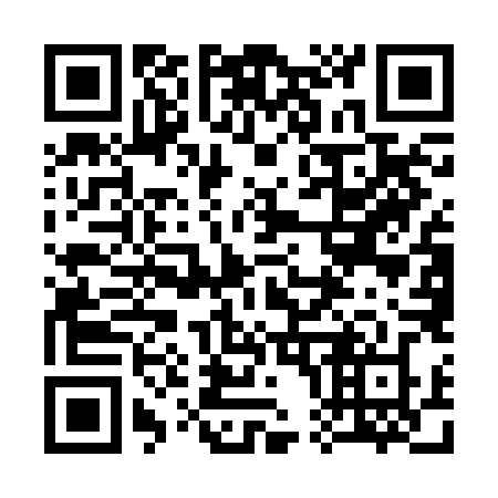 QR code for plate 305 BLZ