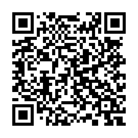 QR code for 307 LZV
