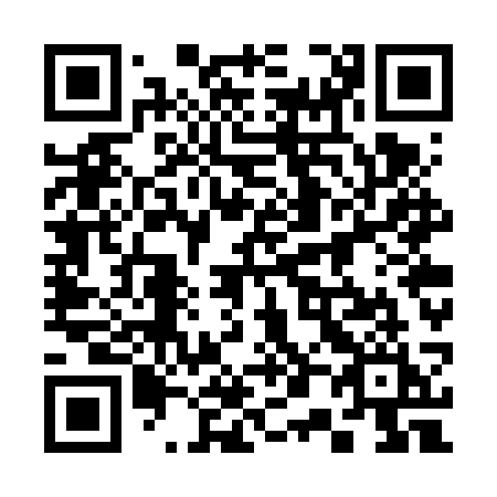 QR code for 307 VSI