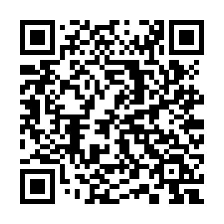 QR code for 307 ZFL