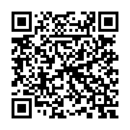 QR code for plate 307 LFJ