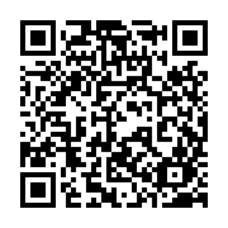 QR code for plate 308 LYN