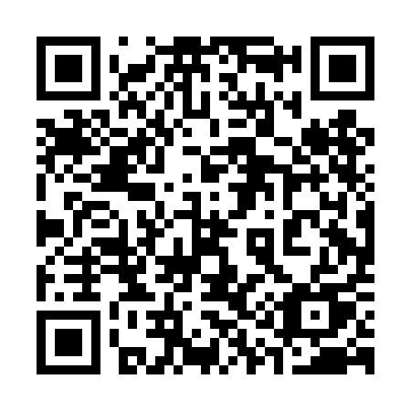 QR code for 310 DAU