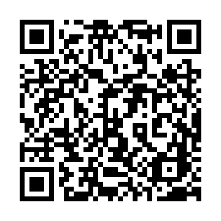 QR code for plate 310 SVC