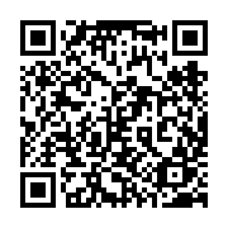 QR code for plate 310 VIR