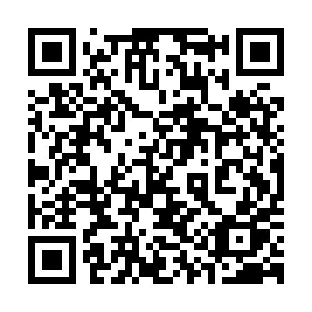 QR code for 311 HPP