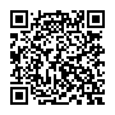 QR code for 311 LKW