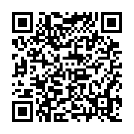 QR code for 311 SFN