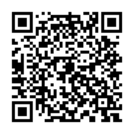 QR code for plate 311 0ZU