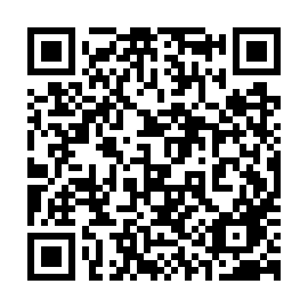 QR code for plate 311 GXG