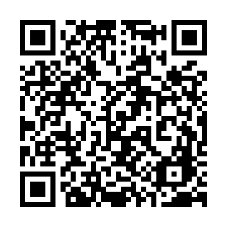 QR code for plate 311 MVG