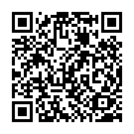 QR code for 311PAZ