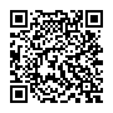 QR code for plate 311 VZI