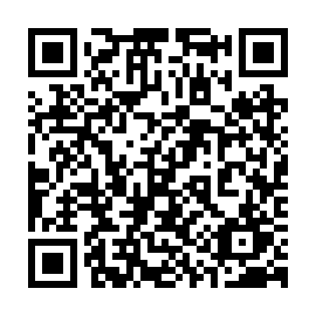 QR code for 313 2RT