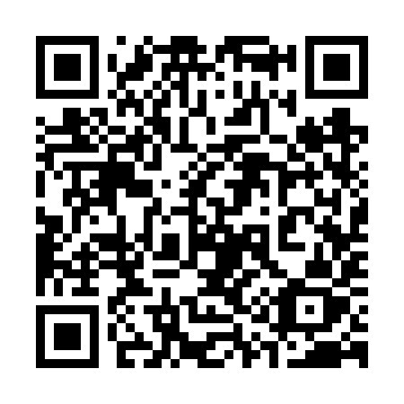 QR code for 313 6YZ