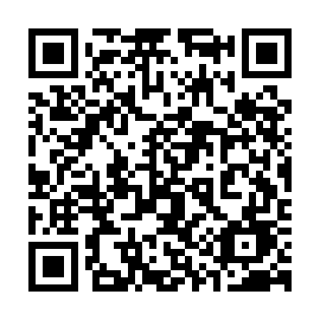 QR code for 313 AGD