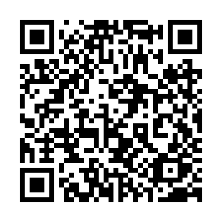 QR code for 313 BZP