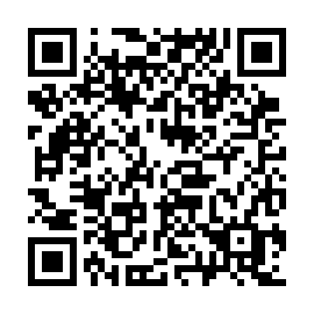 QR code for 313 CHF