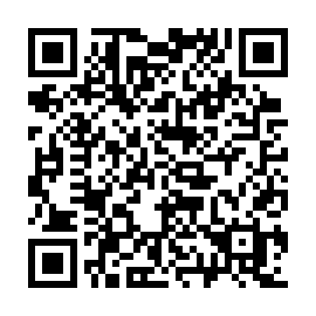 QR code for 313 CTH