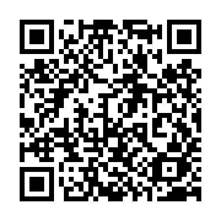 QR code for 313 DYJ