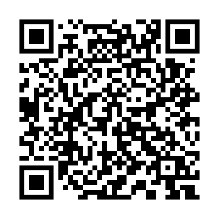 QR code for 313 ERQ