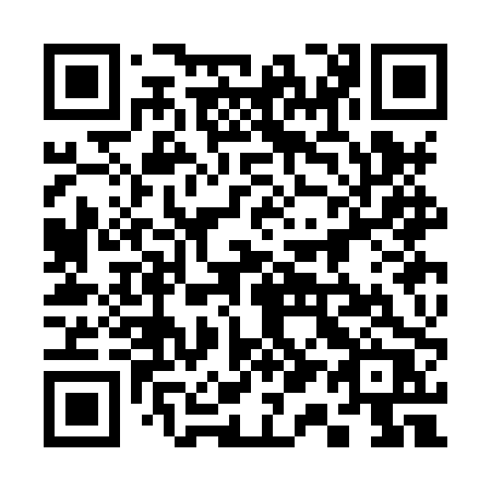QR code for 313 HPR