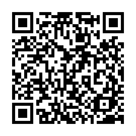 QR code for 313 LTH