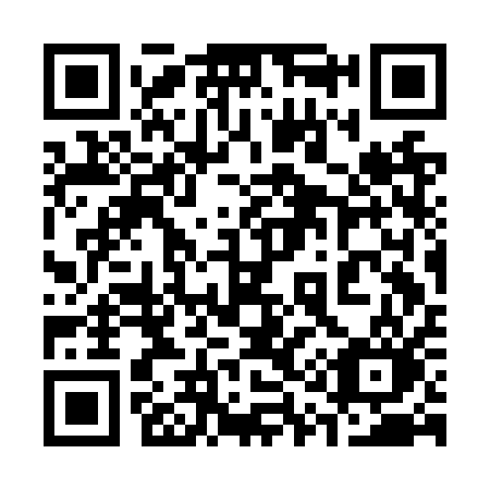 QR code for 313 NQO