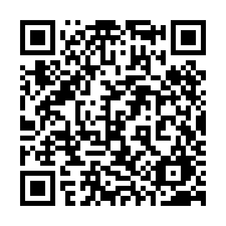 QR code for 313 PKG