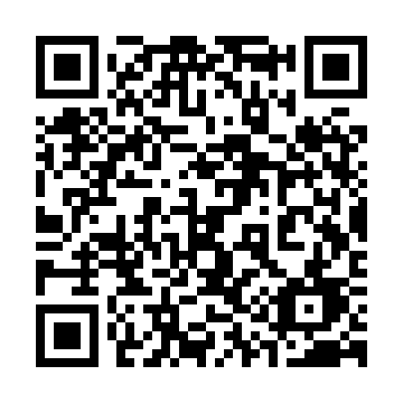 QR code for 313 XSD