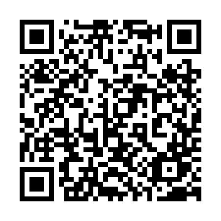 QR code for 3133DT