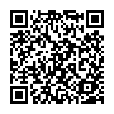 QR code for plate 313 4XK