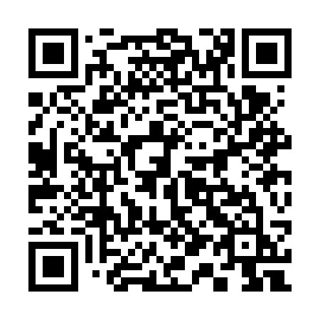 QR code for 313FSJ