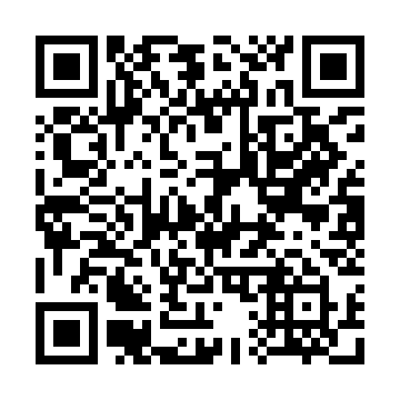 QR code for 313ICY