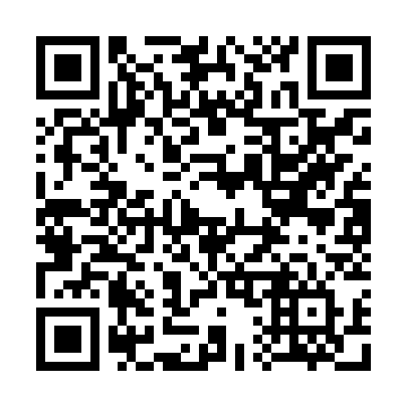 QR code for plate 313 JSV