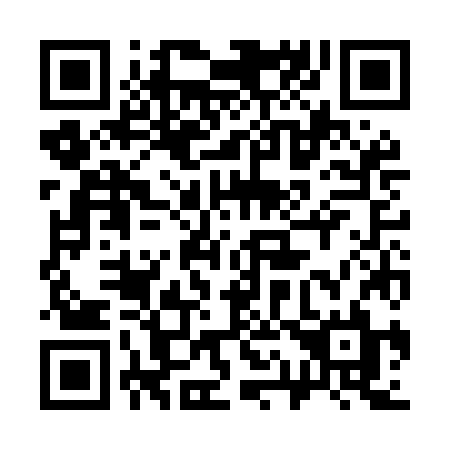 QR code for plate 313 MJL