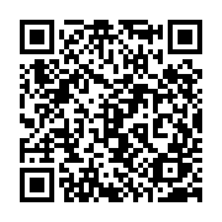 QR code for 313QER