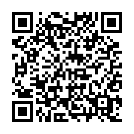 QR code for plate 313 RED