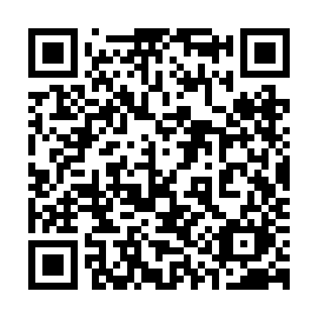 QR code for plate 313 RJM