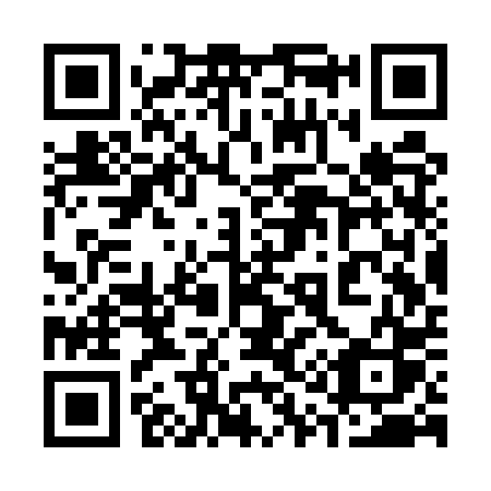 QR code for 313UPS